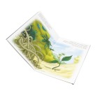 LI720521 - Parábolas de Jesus - 21x14cm